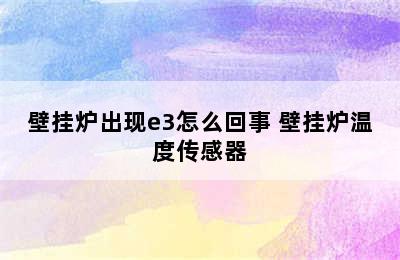 壁挂炉出现e3怎么回事 壁挂炉温度传感器